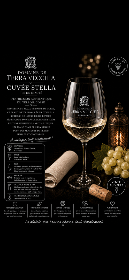 Verre terra vecchia blanc