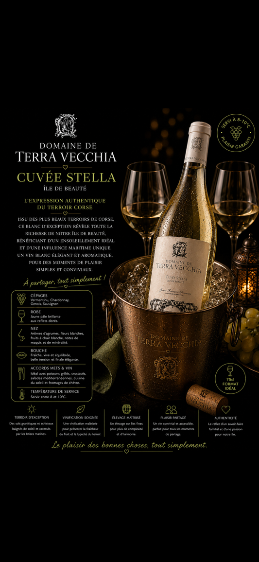 Bouteille terra vecchia blanc