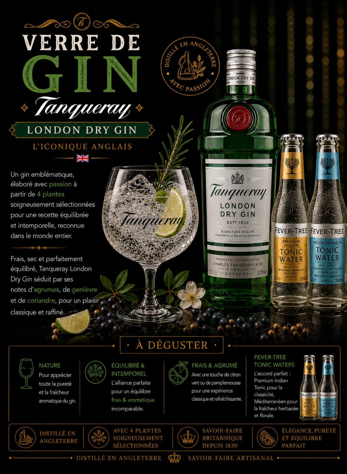 Tanqueray London Gin & Tonic Prenium
